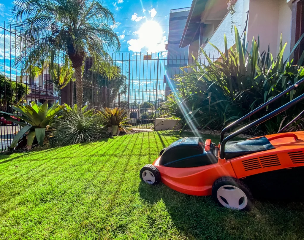 Como Cuidar da Grama Recém Instalada