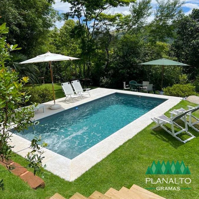 Características da Grama Esmeralda