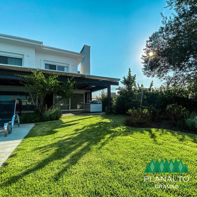 Características da Grama Esmeralda