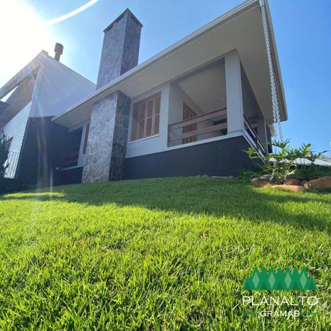 Características da Grama Esmeralda